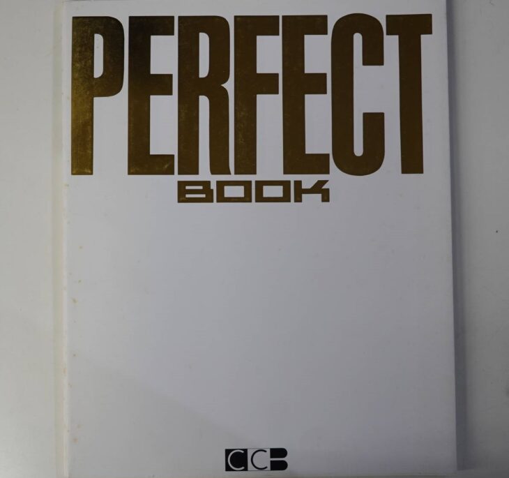 C-C-B perfect book パーフェクトブック