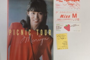 竹内まりやコンサートパンフレット PiCNiC TOUR 1980年