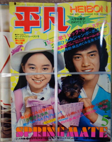 平凡1973年5月号