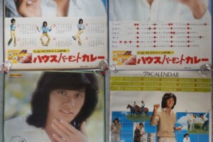 西城秀樹ポスター ハウスバーモントカレー他