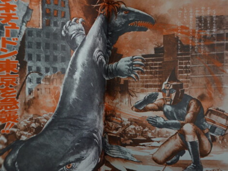 宇宙猿人ゴリ対スペクトルマン 怪獣カラー図鑑(写真で見る世界シリーズ)