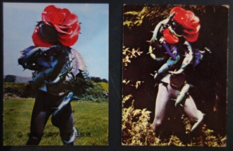 仮面ライダーカード異種カード257