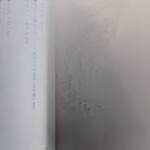 絵本『Perdu dans le bois（森のいいわけ）』金子國義イラスト 吉田稔 作