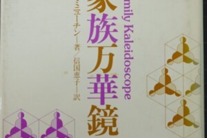 家族万華鏡 S・ミニューチン 専門書